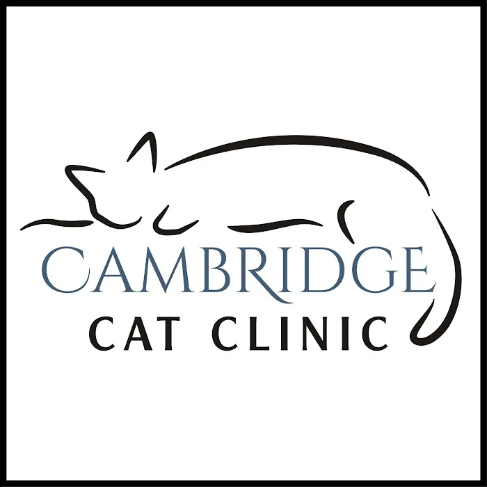 Cambridge Cat Clinic Picture 3