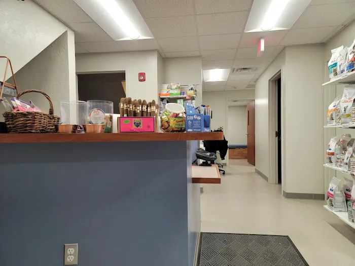 Cambridge Cat Clinic Picture 8