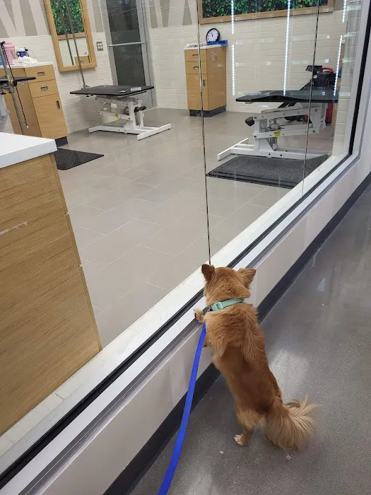Petco Picture 9