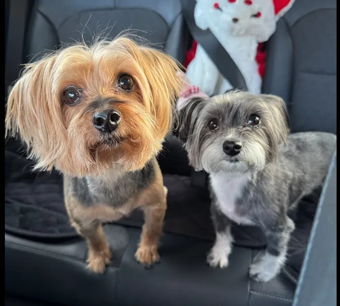 Petco Picture 10