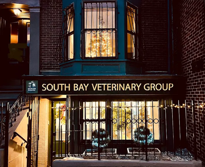 South Bay Veterinary Group Picture 1
