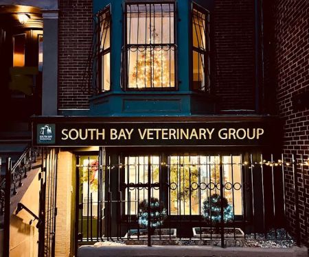 South Bay Veterinary Group