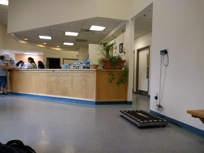 Fresh Pond Animal Hospital Picture 4