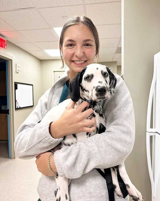 Boston Animal Hospital Picture 4