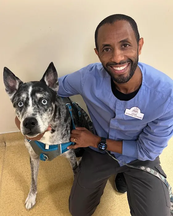 Boston Animal Hospital Picture 7