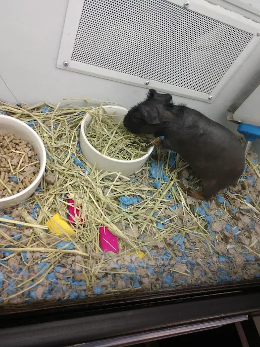 Petco Picture 2
