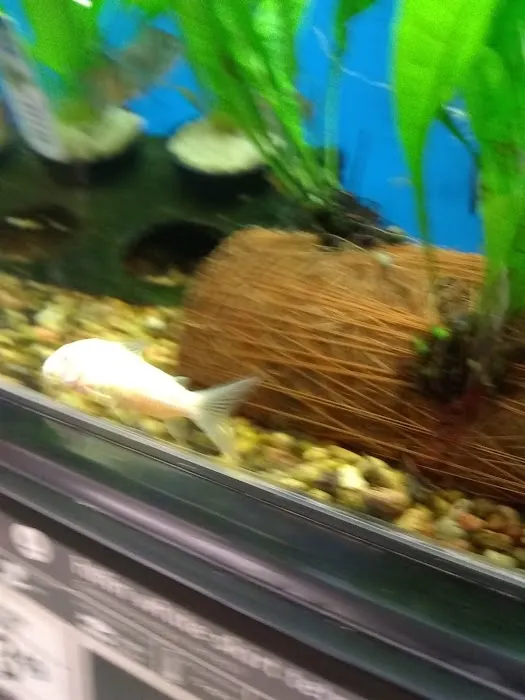 Petco Picture 4