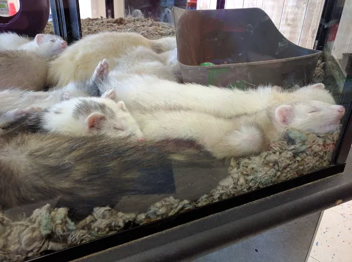 Petco Picture 8