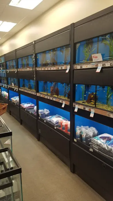 Petco Picture 9
