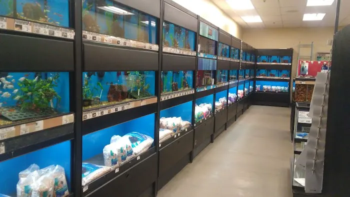 Petco Picture 6