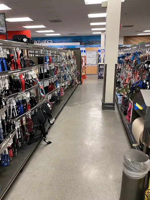 Petco Picture 5