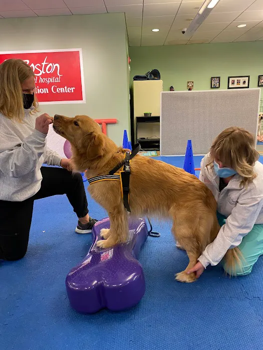 Boston Pet Rehabilitation Picture 3
