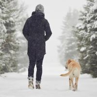 Banfield Pet Hospital ico