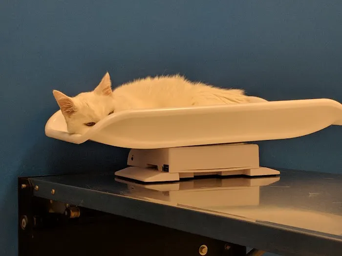 Banfield Pet Hospital Picture 7