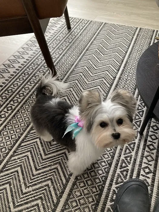 It's Reigning Cats & Dogs Picture 8