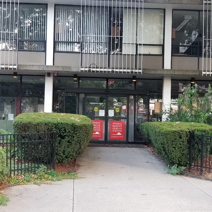 Boston Veterinary Care Picture 3