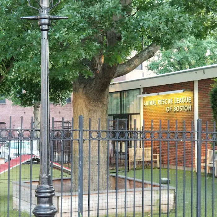 Boston Veterinary Care Picture 2