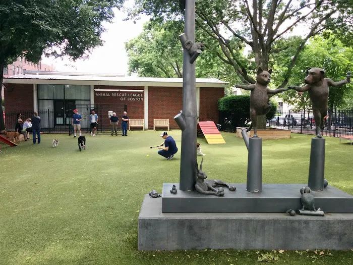 Boston Veterinary Care Picture 9