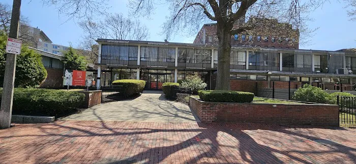 Boston Veterinary Care Picture 5