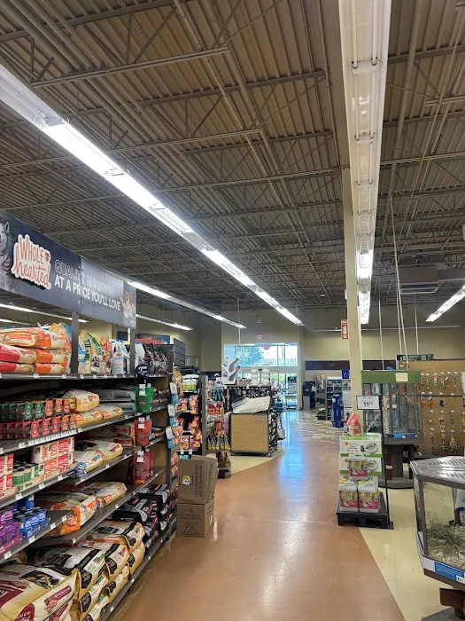 Petco Picture 3