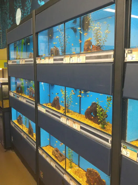 Petco Picture 4