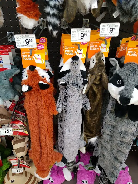 Petco Picture 6