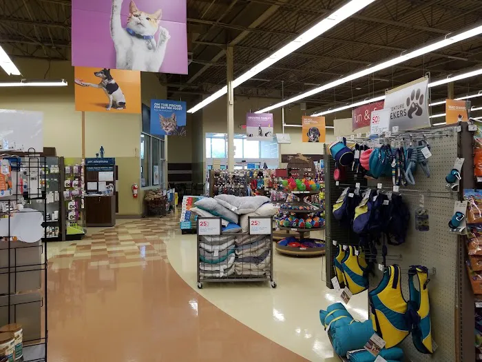 Petco Picture 8
