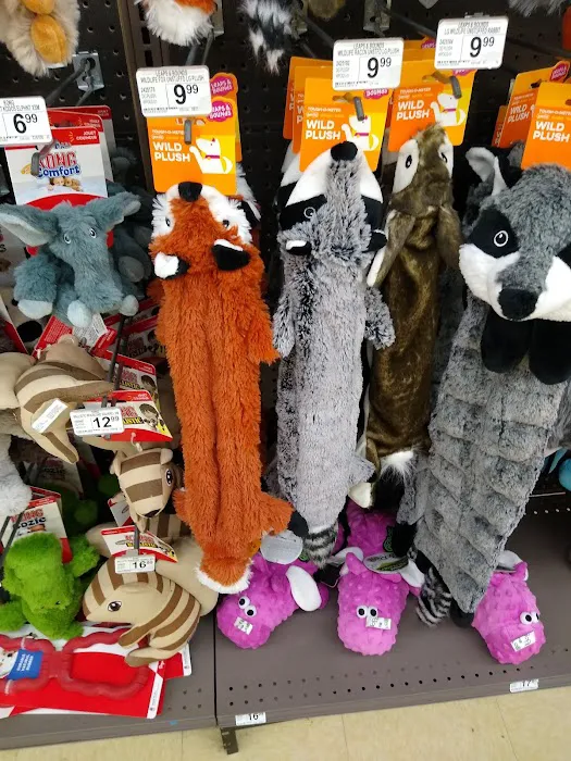 Petco Picture 9