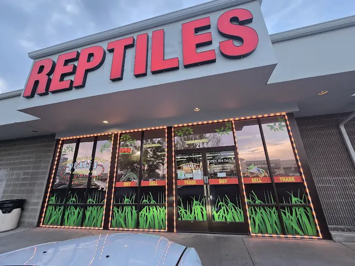 Scales Exotic Reptiles Pet Shop Picture 2