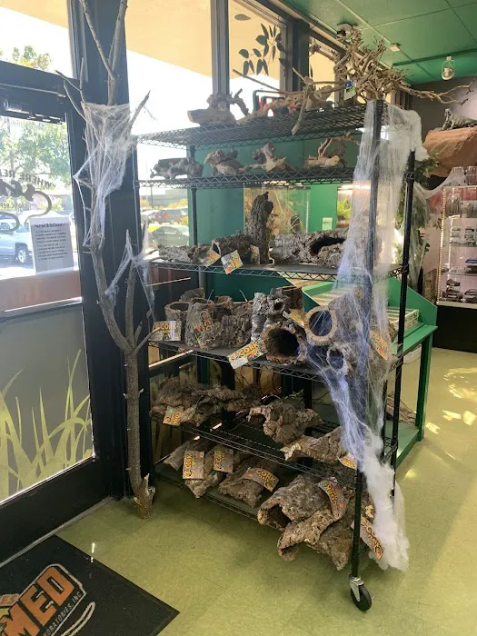 Scales Exotic Reptiles Pet Shop Picture 6