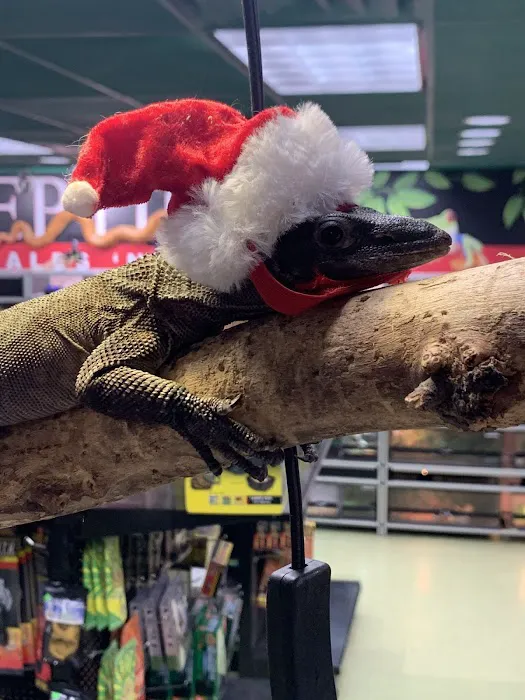 Scales Exotic Reptiles Pet Shop Picture 9