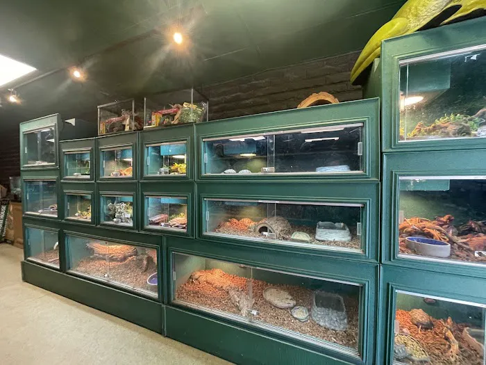 Scales Exotic Reptiles Pet Shop Picture 10