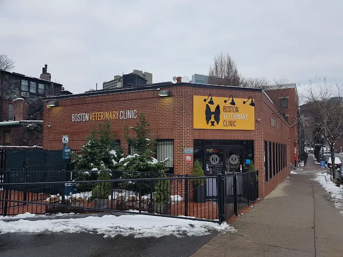 Boston Veterinary Clinic Picture 1