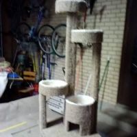 SLC CAT Towers ico