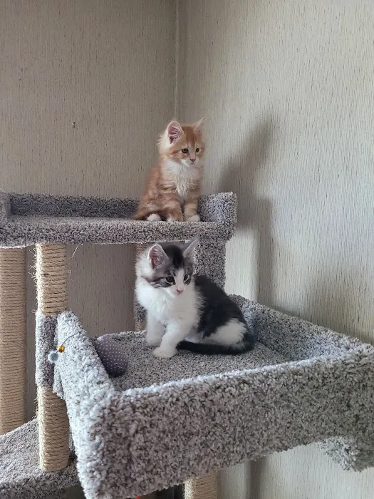 SLC CAT Towers Picture 5