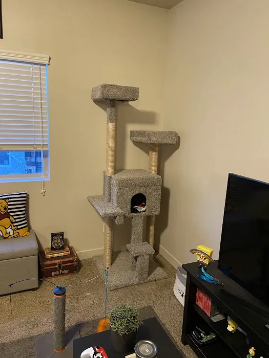 SLC CAT Towers Picture 2