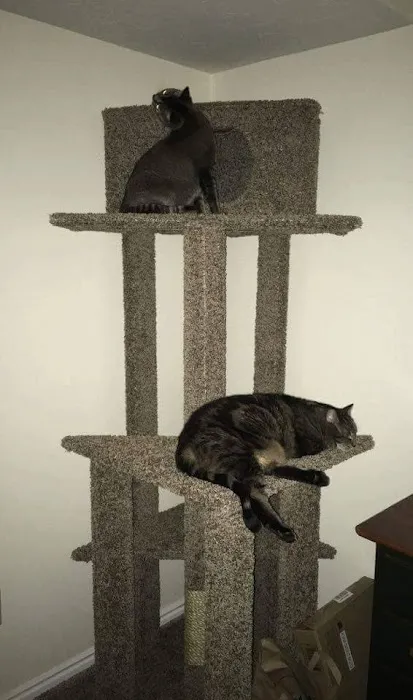 SLC CAT Towers Picture 8