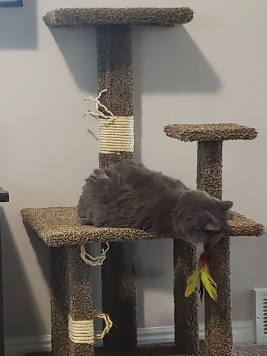 SLC CAT Towers Picture 10