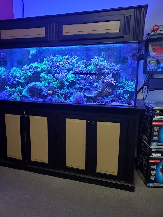 OCD Reefs Picture 5