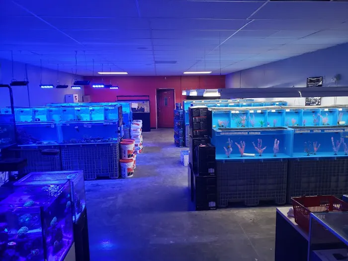 OCD Reefs Picture 7