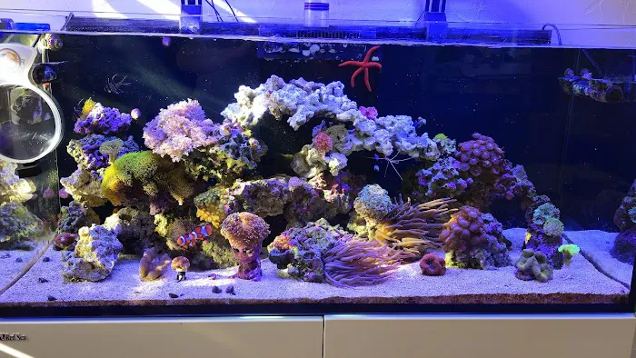 OCD Reefs Picture 8