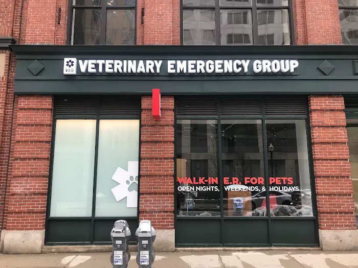 VEG ER for Pets Picture 3