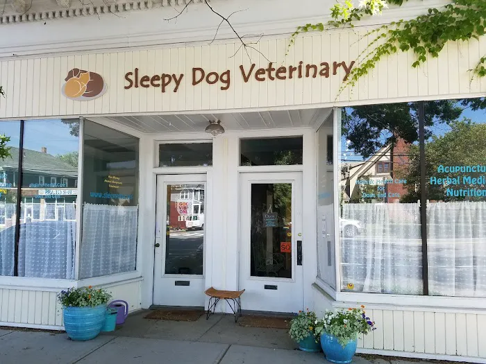Sleepy Dog Veterinary Picture 6