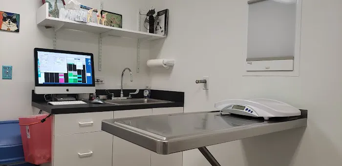 Porter Square Veterinarian Picture 2