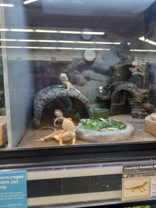 Petco Picture 10