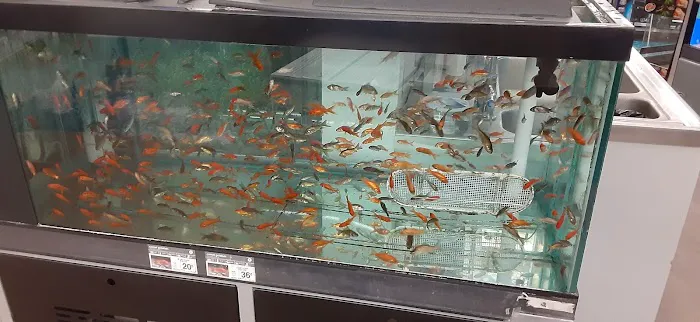 Petco Picture 2