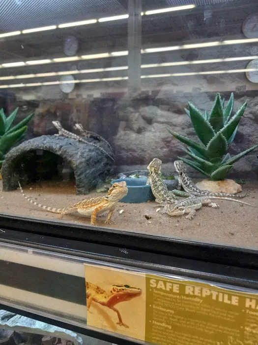 Petco Picture 4