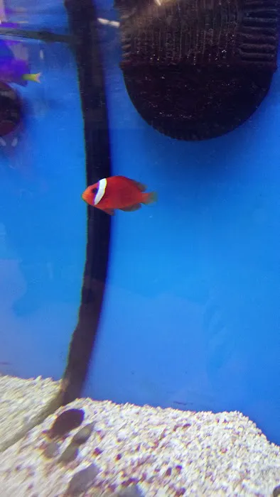 Petco Picture 6