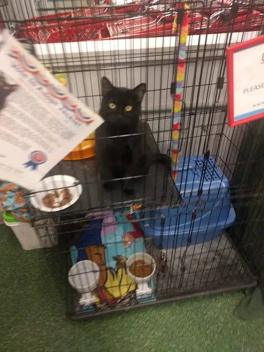 Petco Picture 7