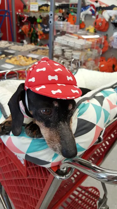 Petco Picture 1
